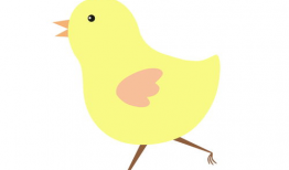 小鸡漫画,趣味横生的幽默世界